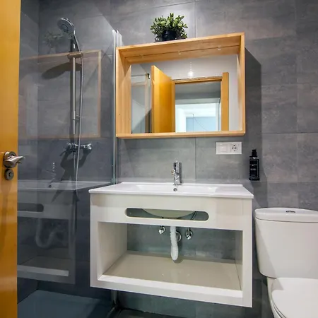 公寓 巴伦西亚维科美公寓